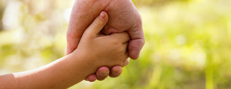 Eine Kinder Hand in der Hand eines Erwachsenen im Hintergrund sieht man Grüne Bäume