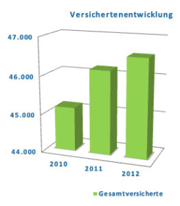 Grafik: Jahresbericht 2012
