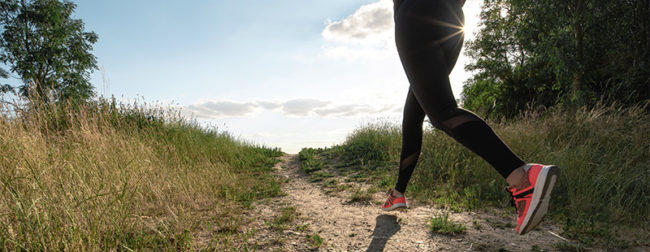 Bild: Gesunde Bewegung